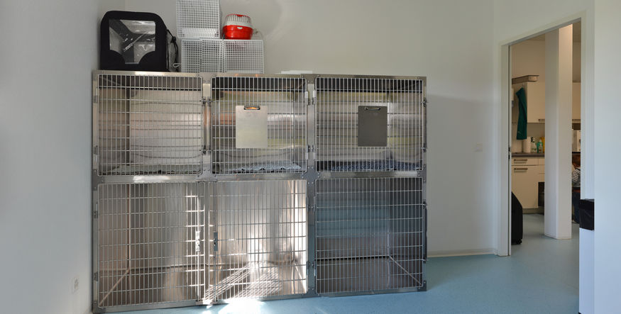 Le cabinet